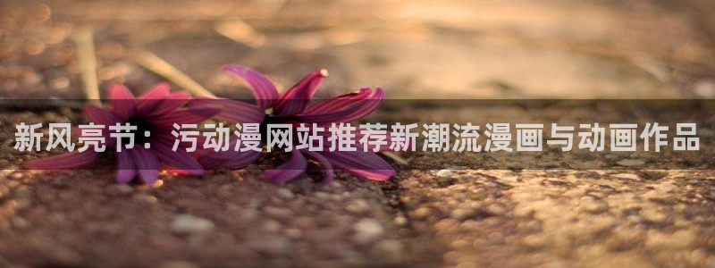 风车动漫(p)进击的巨人